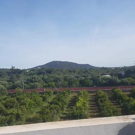 Casa Vida Saude E Bem Estar Rum i privatbostad Moncarapacho